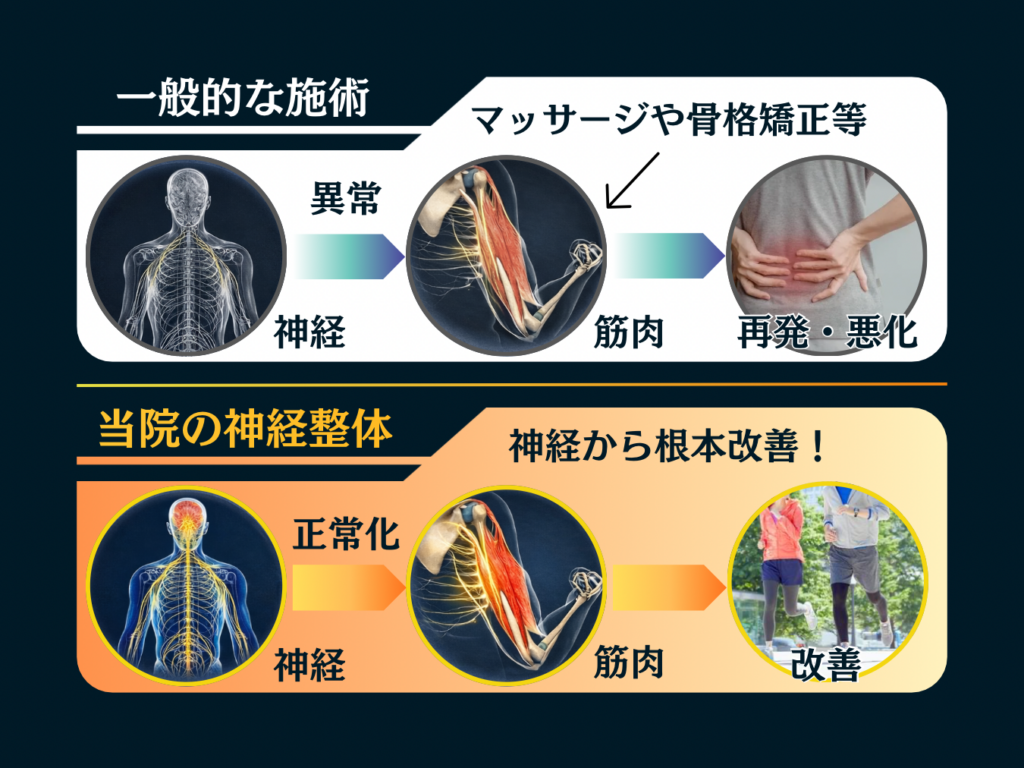 やました整体院の神経整体のイラスト図