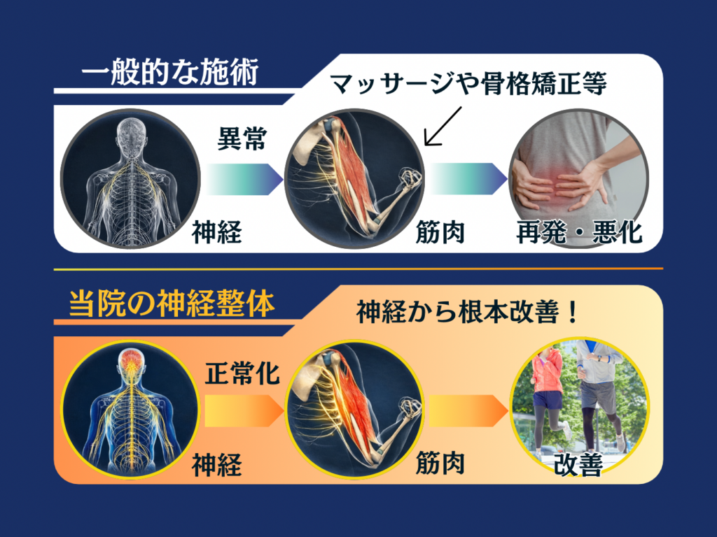やました整体院の神経整体のイラスト図